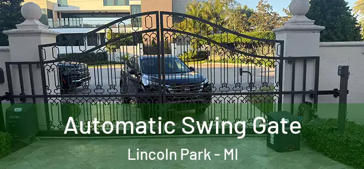  Automatic Swing Gate Lincoln Park - MI