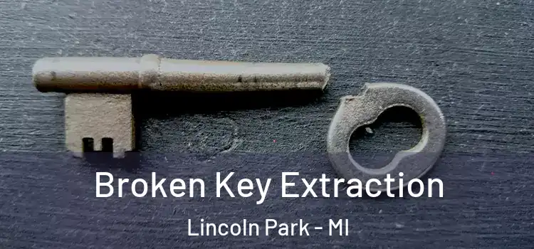 Broken Key Extraction Lincoln Park - MI