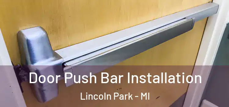  Door Push Bar Installation Lincoln Park - MI