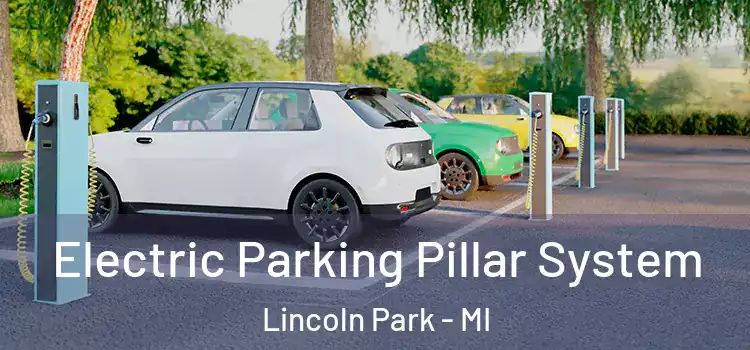  Electric Parking Pillar System Lincoln Park - MI