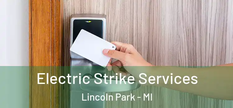  Electric Strike Services Lincoln Park - MI