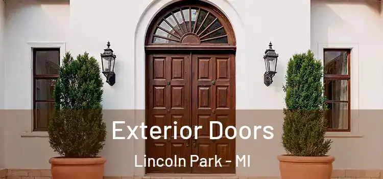  Exterior Doors Lincoln Park - MI