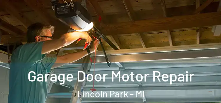  Garage Door Motor Repair Lincoln Park - MI