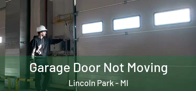  Garage Door Not Moving Lincoln Park - MI