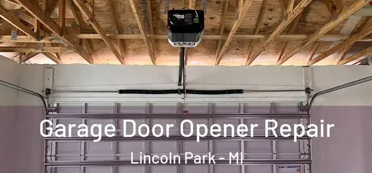  Garage Door Opener Repair Lincoln Park - MI