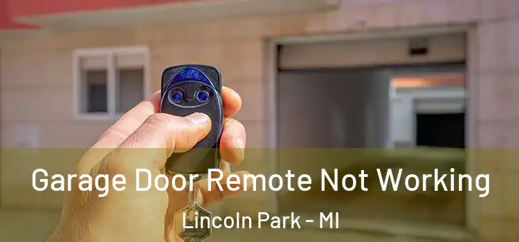  Garage Door Remote Not Working Lincoln Park - MI