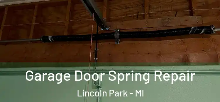  Garage Door Spring Repair Lincoln Park - MI