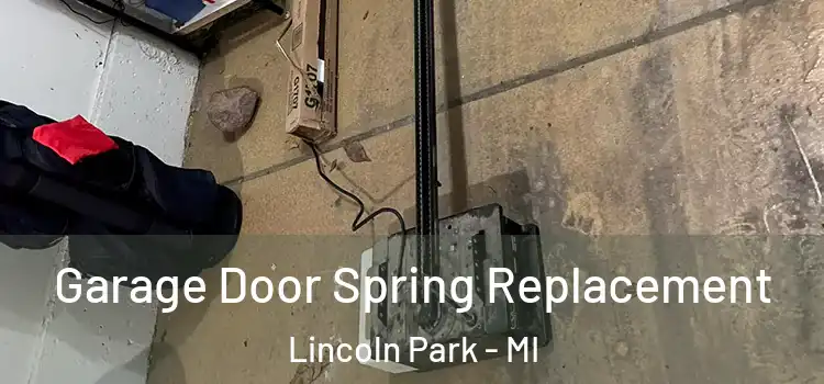  Garage Door Spring Replacement Lincoln Park - MI