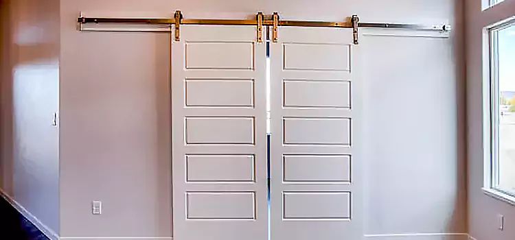 Glass Barn Door with Installation Hardware Kit Lincoln Park