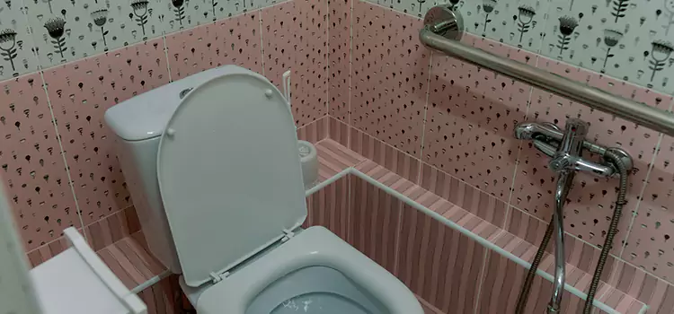 Meeting Diverse Needs With Accessible Restroom Solutions in Lincoln Park, MI