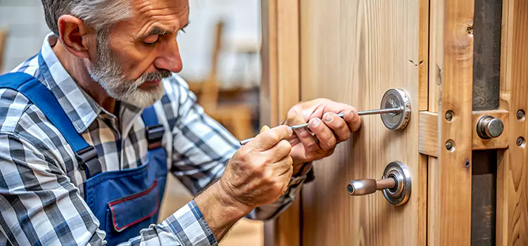 Mortise Replacement Lock Lincoln Park