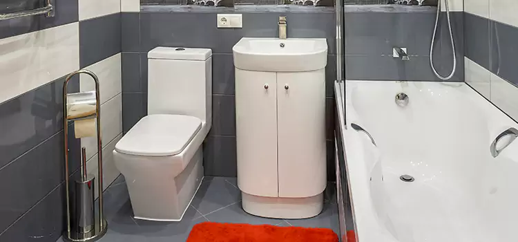 Hansgrohe Shaving Mirror Lincoln Park