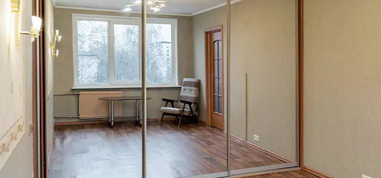 Mirror Closet Door Roller Replacement Lincoln Park