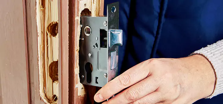 Garage Door Lock Replacement Lincoln Park
