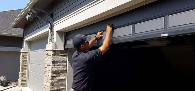 Janus Roll Up Doors Lincoln Park