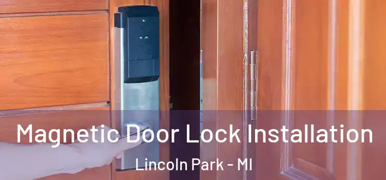 Magnetic Door Lock Installation Lincoln Park - MI