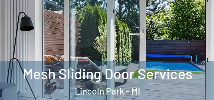  Mesh Sliding Door Services Lincoln Park - MI
