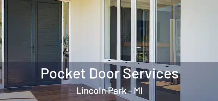  Pocket Door Services Lincoln Park - MI