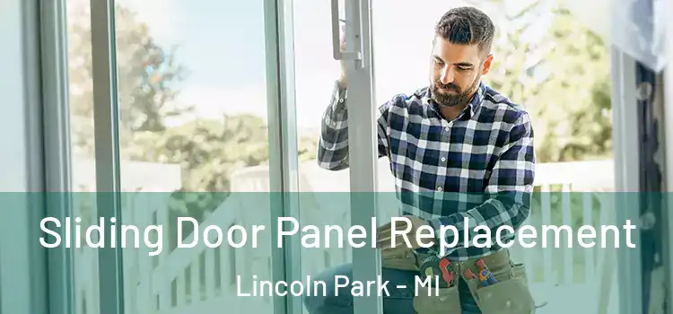  Sliding Door Panel Replacement Lincoln Park - MI