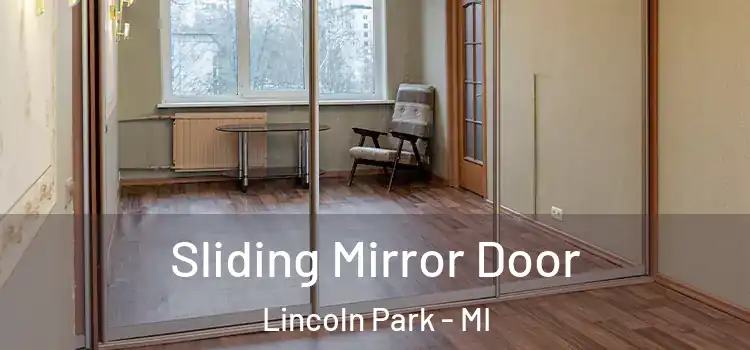  Sliding Mirror Door Lincoln Park - MI